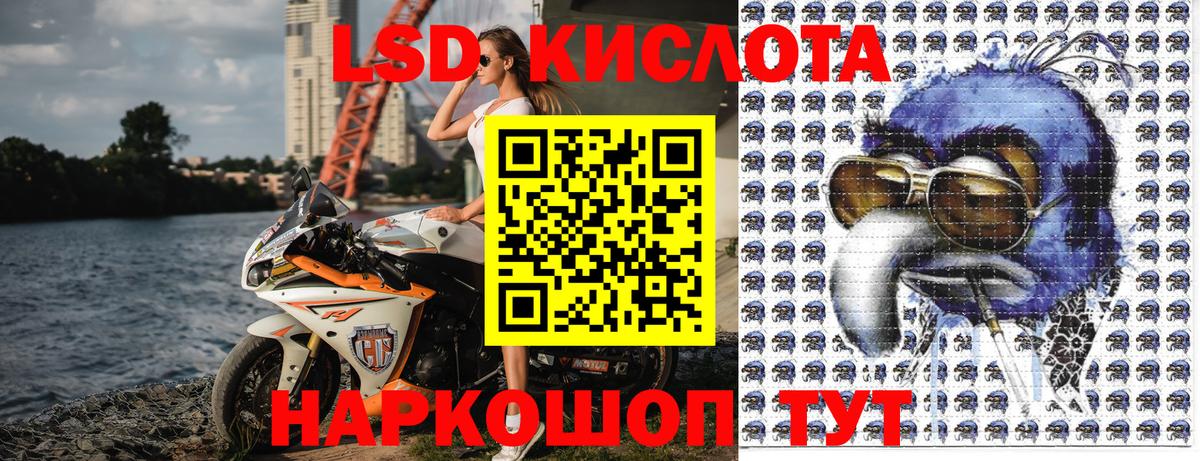 Галлюциногенные грибы Дзержинский