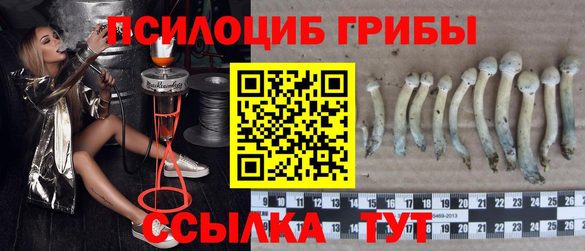 Галлюциногенные грибы мухоморы  Вход с VPN  Дзержинский 