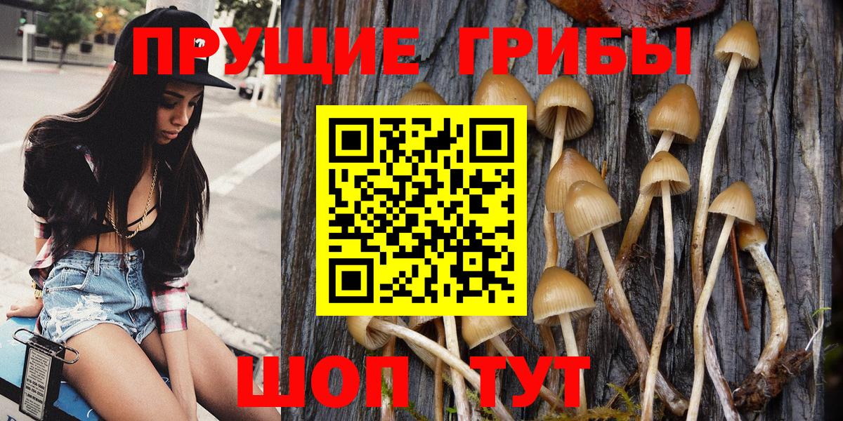 Галлюциногенные грибы Psilocybine cubensis Дзержинский